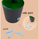 Rama de Navidad Luz LED nocturna